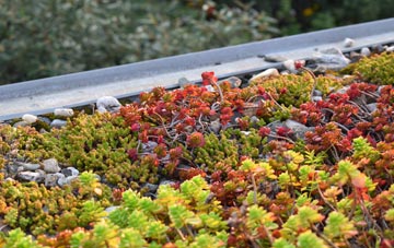 the cost of Lingreabhagh green roof installation