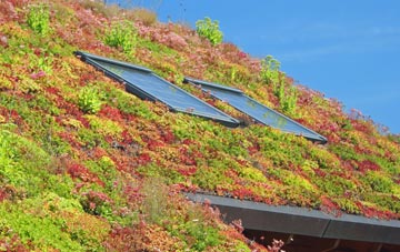Lingreabhagh living roof systems